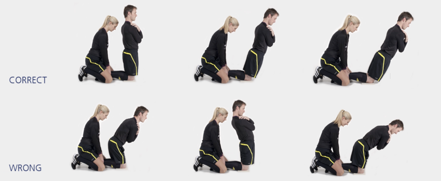 hamstrings