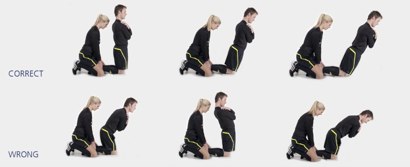 hamstrings